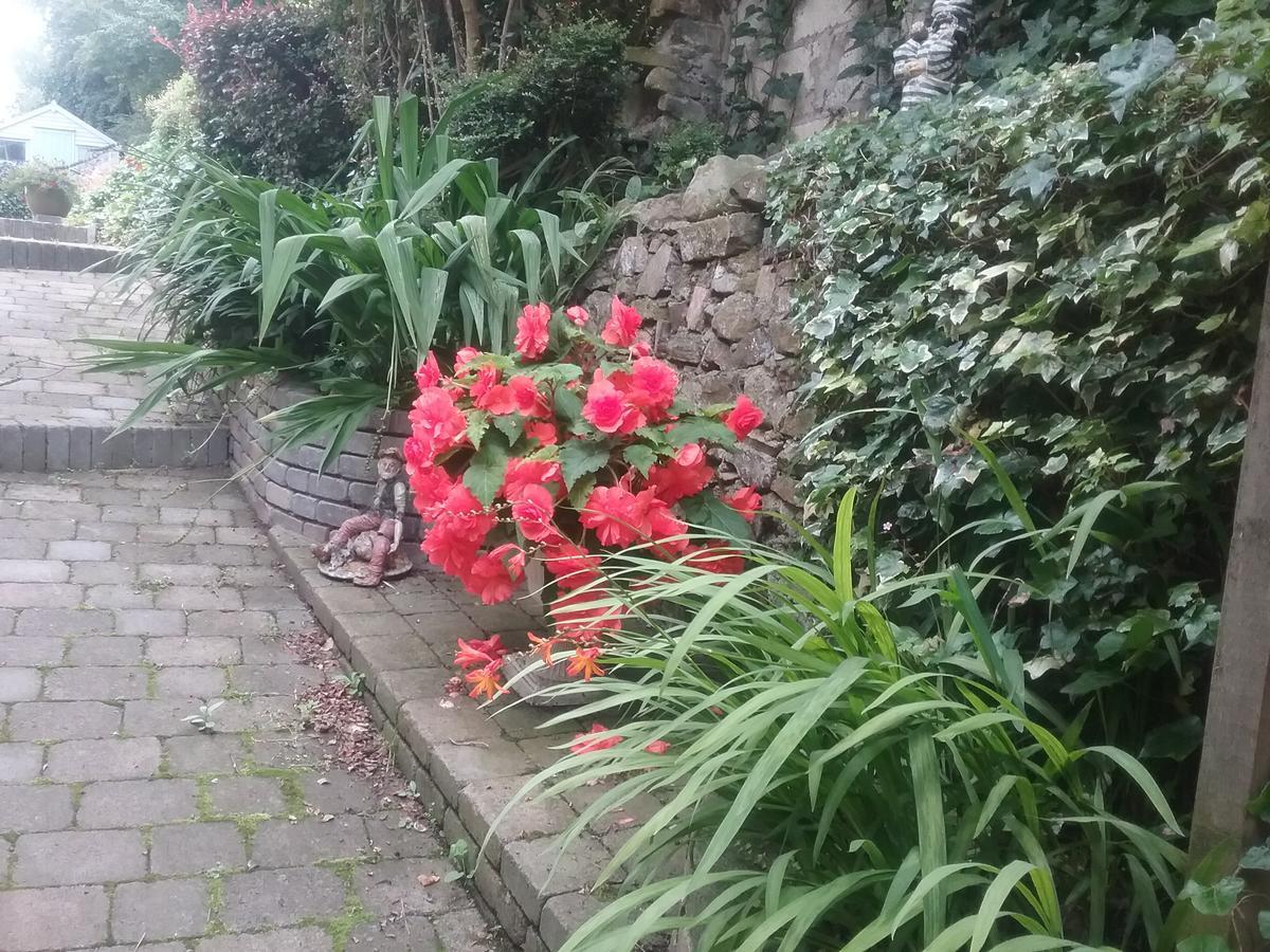 Ashleigh House Bed & Breakfast Monaghan Bagian luar foto